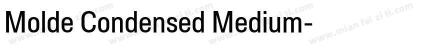 Molde Condensed Medium字体转换